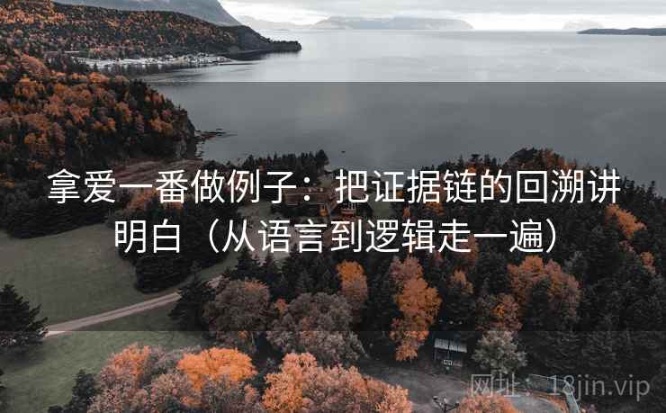 拿爱一番做例子：把证据链的回溯讲明白（从语言到逻辑走一遍）